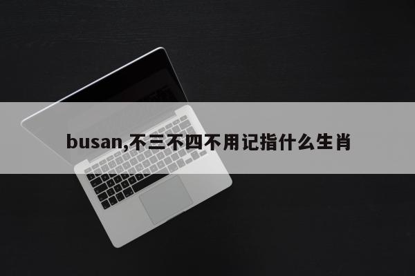 busan,不三不四不用记指什么生肖