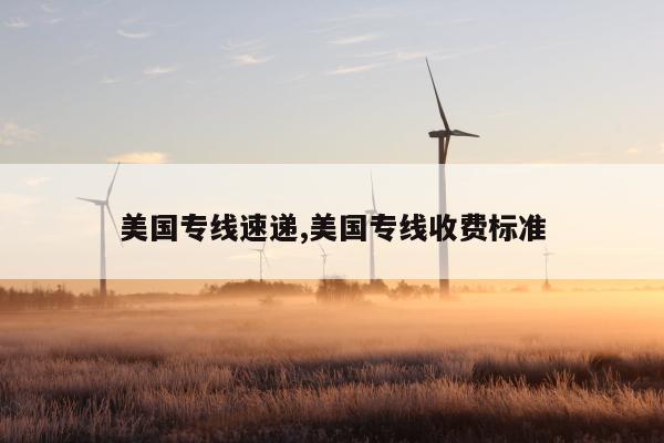 美国专线速递,美国专线收费标准