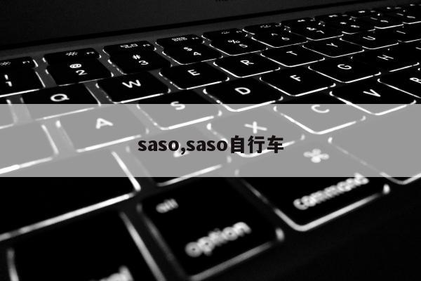saso,saso自行车