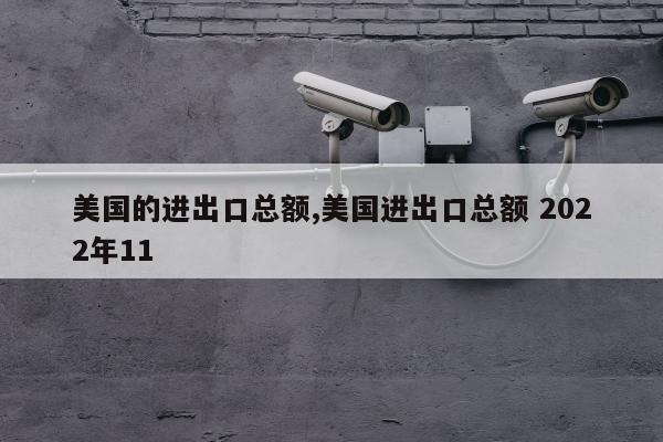 美国的进出口总额,美国进出口总额 2022年11