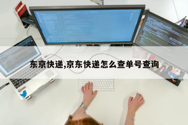 东京快递,京东快递怎么查单号查询