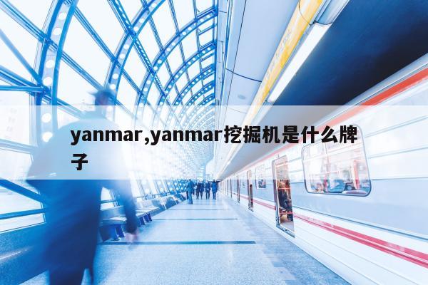yanmar,yanmar挖掘机是什么牌子