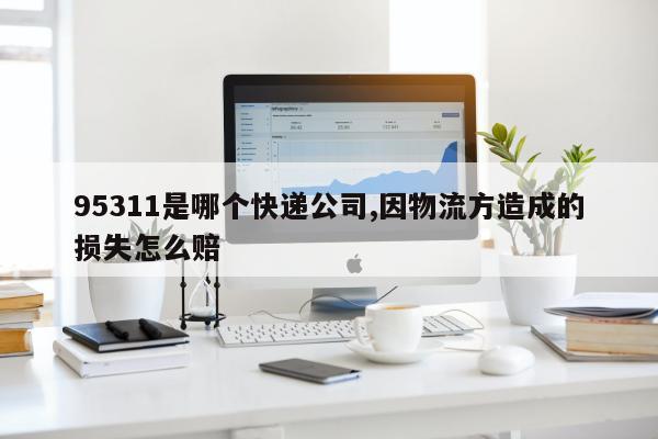 95311是哪个快递公司,因物流方造成的损失怎么赔