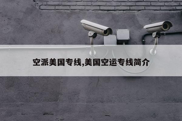 空派美国专线,美国空运专线简介