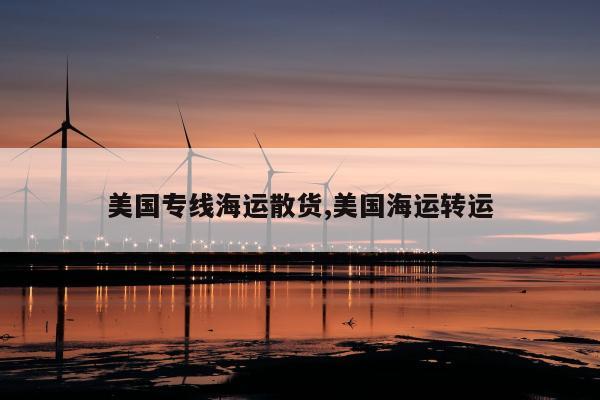 美国专线海运散货,美国海运转运