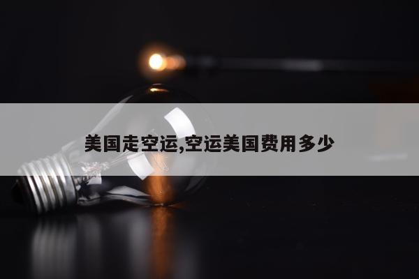 美国走空运,空运美国费用多少