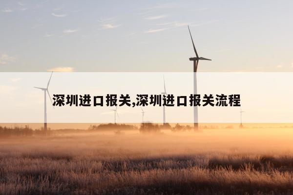 深圳进口报关,深圳进口报关流程