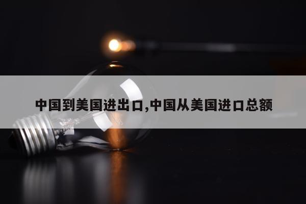 中国到美国进出口,中国从美国进口总额