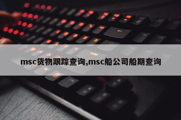 msc货物跟踪查询,msc船公司船期查询