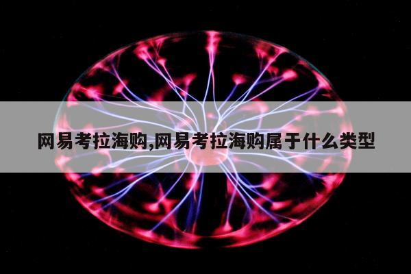 网易考拉海购,网易考拉海购属于什么类型