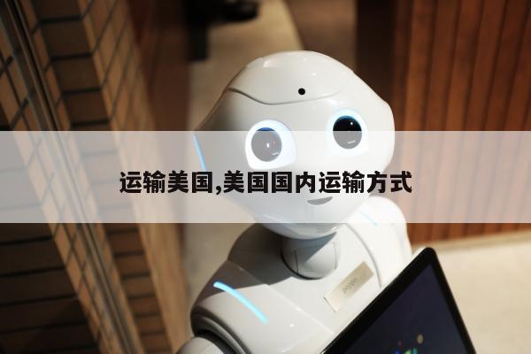 运输美国,美国国内运输方式