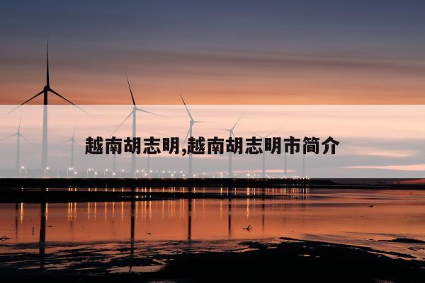 越南胡志明,越南胡志明市简介