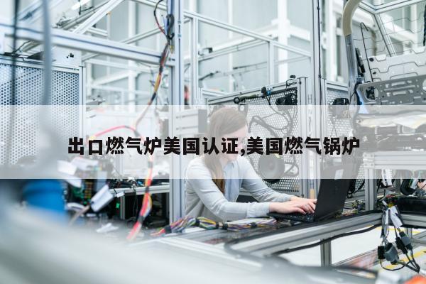 出口燃气炉美国认证,美国燃气锅炉