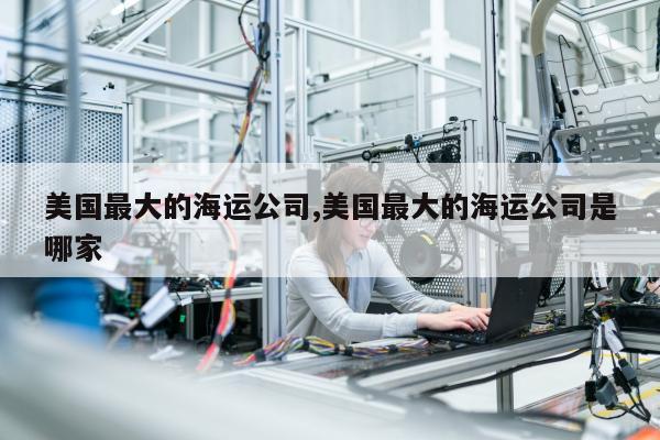 美国最大的海运公司,美国最大的海运公司是哪家