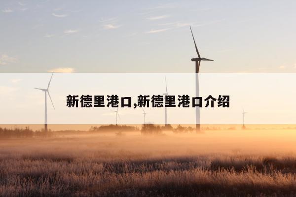 新德里港口,新德里港口介绍