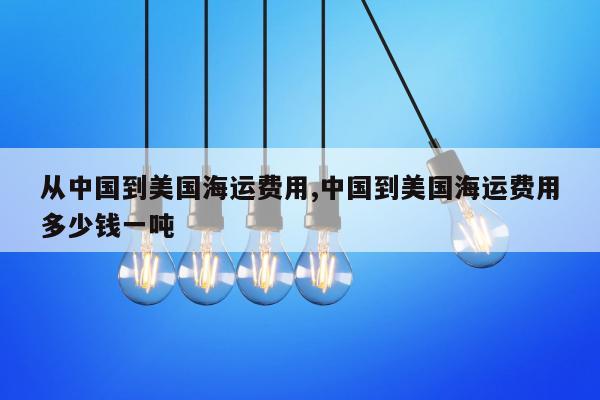 从中国到美国海运费用,中国到美国海运费用多少钱一吨