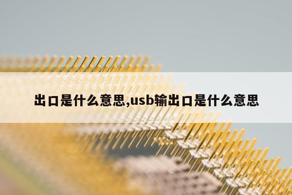 出口是什么意思,usb输出口是什么意思