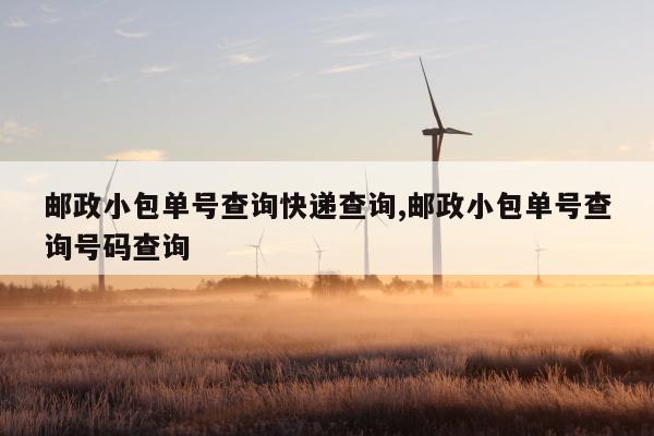 邮政小包单号查询快递查询,邮政小包单号查询号码查询
