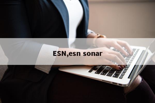 ESN,esn sonar