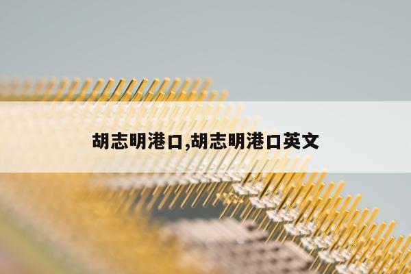 胡志明港口,胡志明港口英文