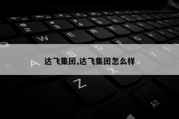 达飞集团,达飞集团怎么样