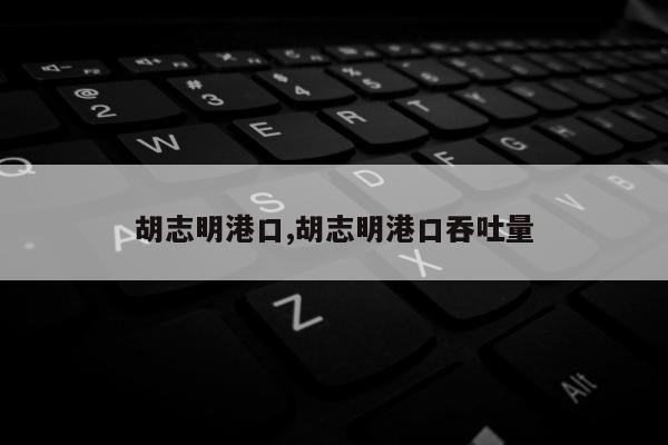 胡志明港口,胡志明港口吞吐量