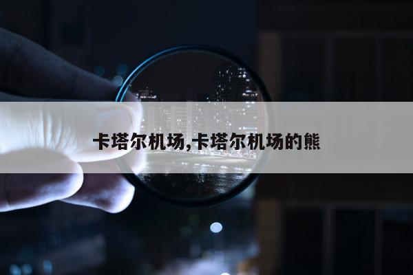 卡塔尔机场,卡塔尔机场的熊