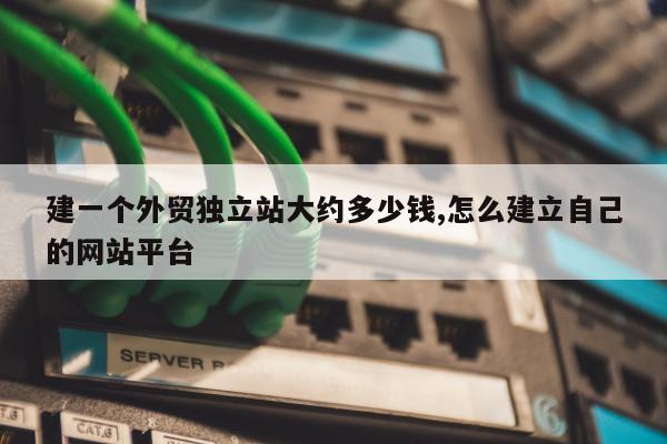 建一个外贸独立站大约多少钱,怎么建立自己的网站平台