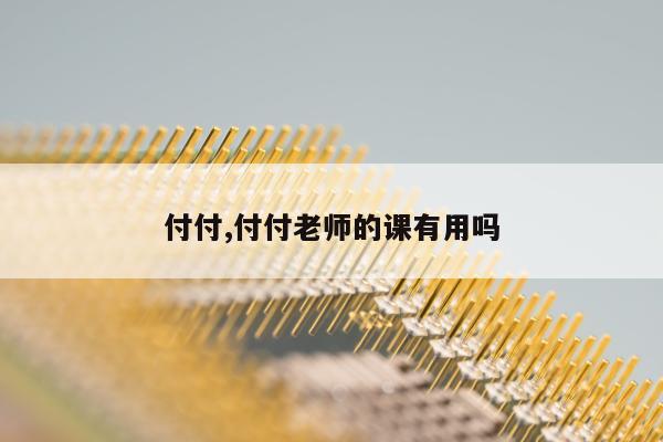 付付,付付老师的课有用吗