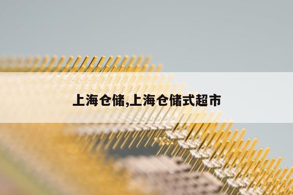 上海仓储,上海仓储式超市