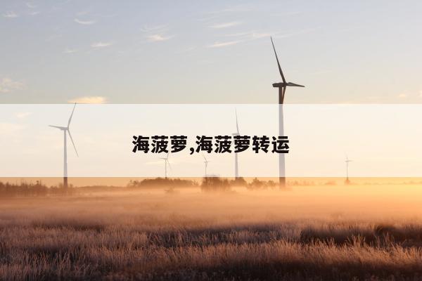 海菠萝,海菠萝转运