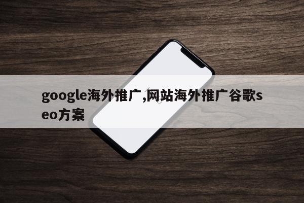 google海外推广,网站海外推广谷歌seo方案