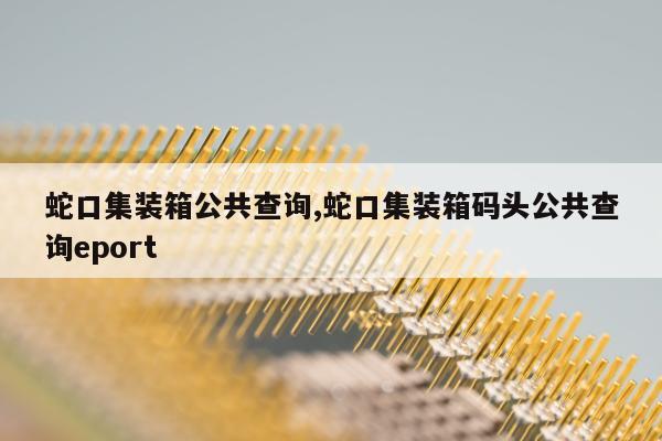 蛇口集装箱公共查询,蛇口集装箱码头公共查询eport