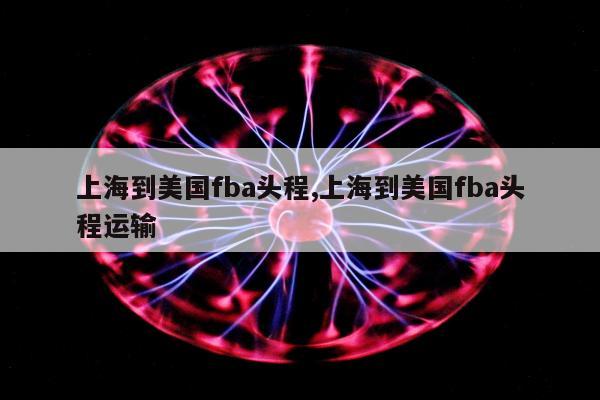 上海到美国fba头程,上海到美国fba头程运输
