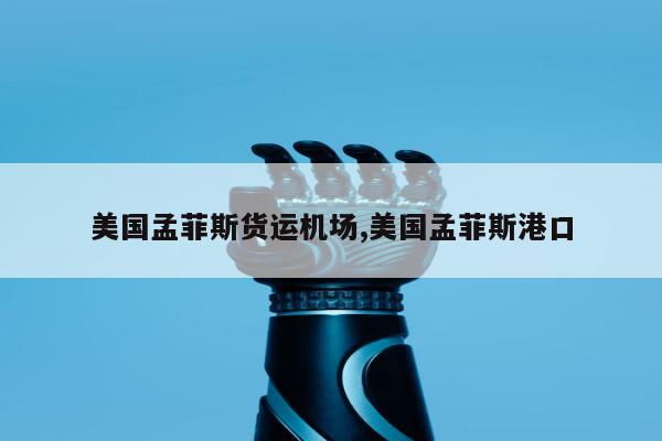 美国孟菲斯货运机场,美国孟菲斯港口