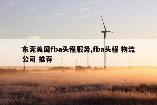 东莞美国fba头程服务,fba头程 物流公司 推荐