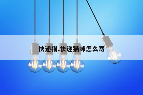 快递猫,快递猫咪怎么寄