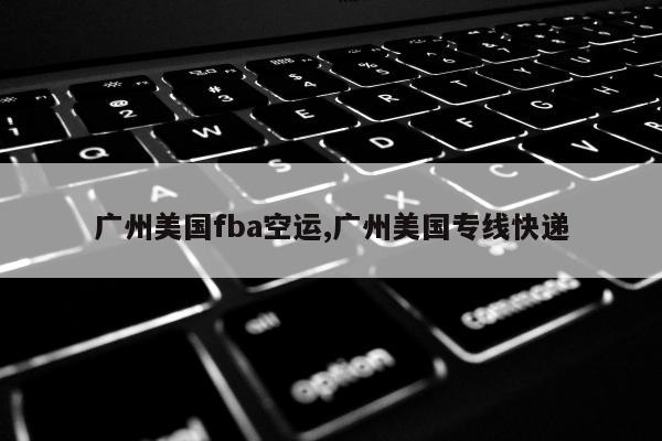 广州美国fba空运,广州美国专线快递