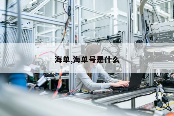 海单,海单号是什么