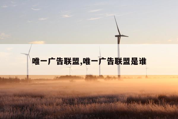 唯一广告联盟,唯一广告联盟是谁