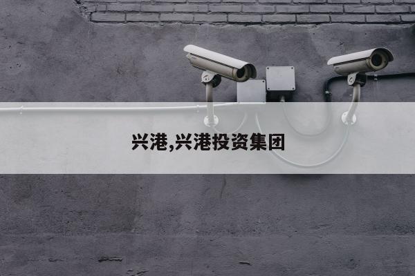 兴港,兴港投资集团