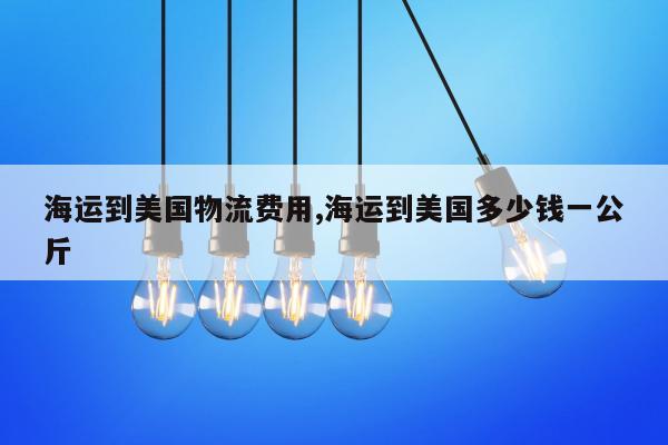 海运到美国物流费用,海运到美国多少钱一公斤