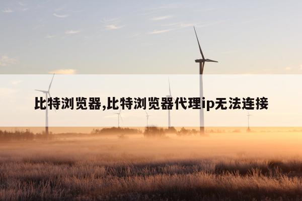 比特浏览器,比特浏览器代理ip无法连接
