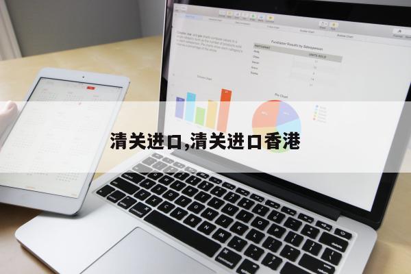 清关进口,清关进口香港