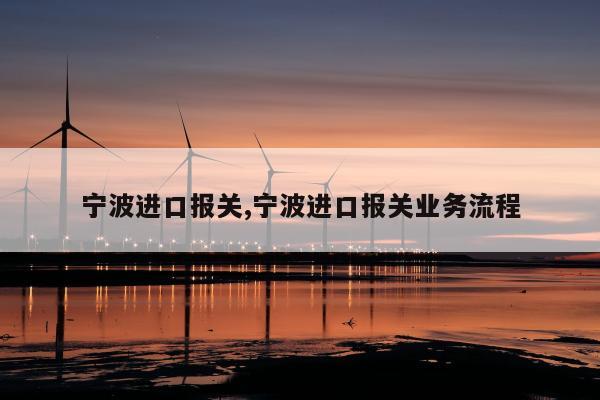 宁波进口报关,宁波进口报关业务流程