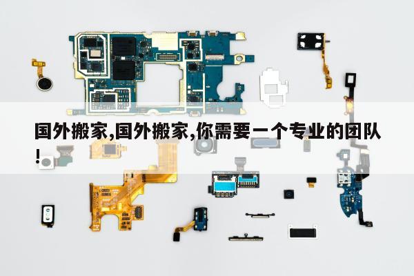 国外搬家,国外搬家,你需要一个专业的团队!