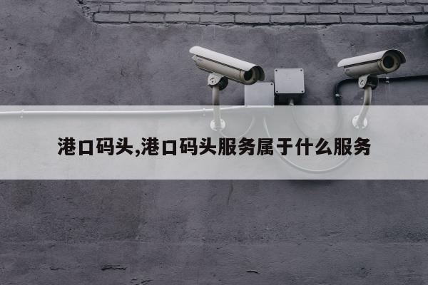 港口码头,港口码头服务属于什么服务
