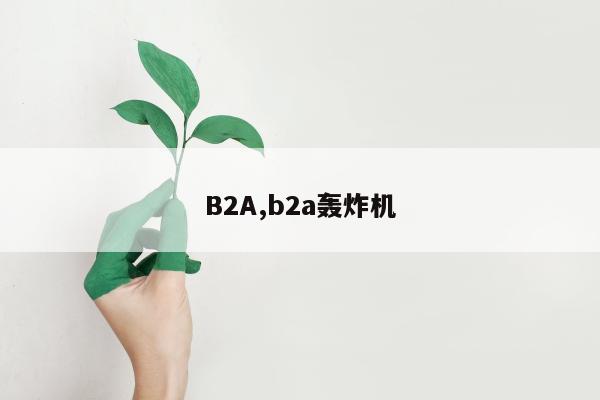 B2A,b2a轰炸机