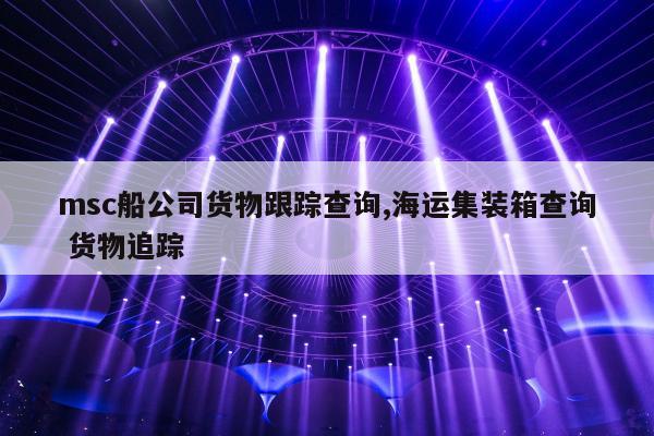 msc船公司货物跟踪查询,海运集装箱查询 货物追踪