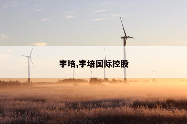 宇培,宇培国际控股